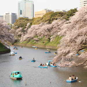 10月1日は【天下一品の日】ラーメン無料券がもらえる！！増税後対応